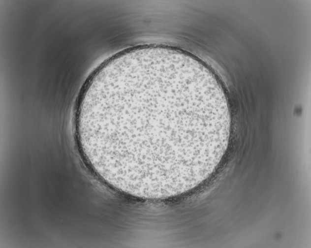 X0000116620983201001221336