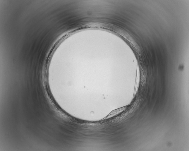 X0000116620984201001221336