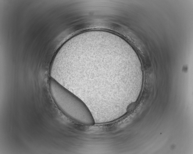 X0000116620985201001221336