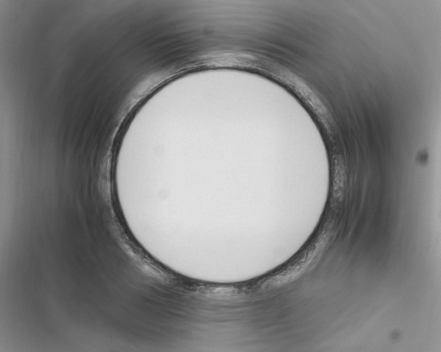 X0000116620986201001221336