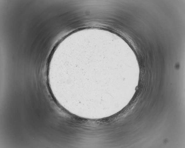 X0000116620987201001221336