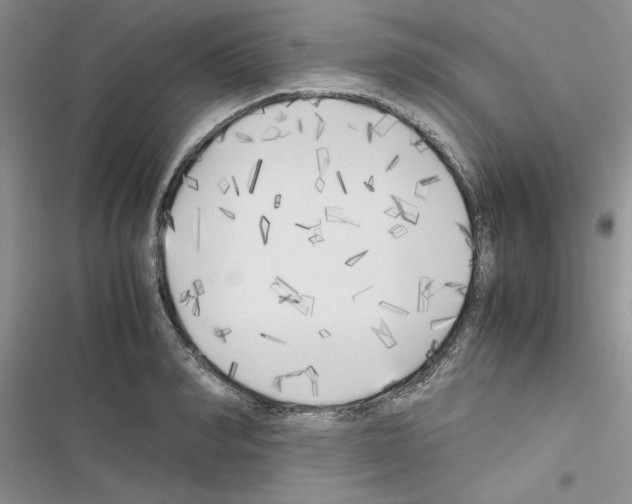 X0000116620990201001221336