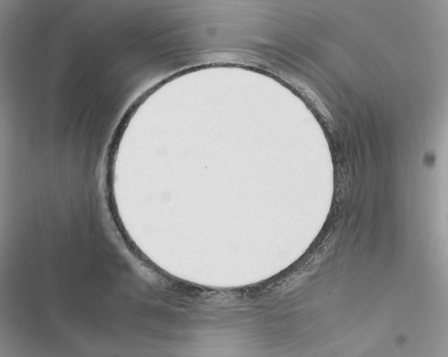 X0000116620991201001221336