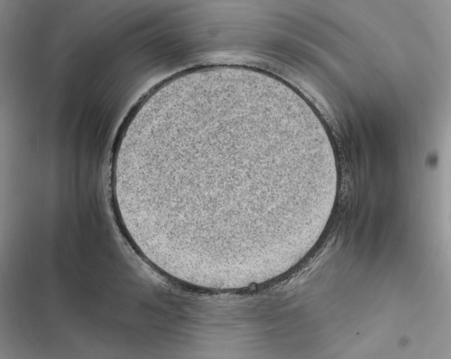 X0000116620992201001221336