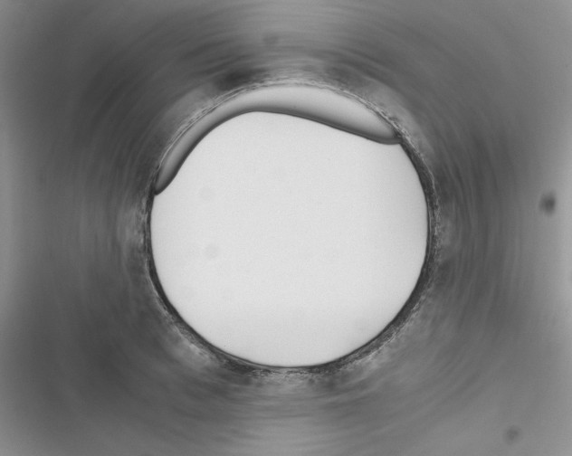 X0000116620993201001221336