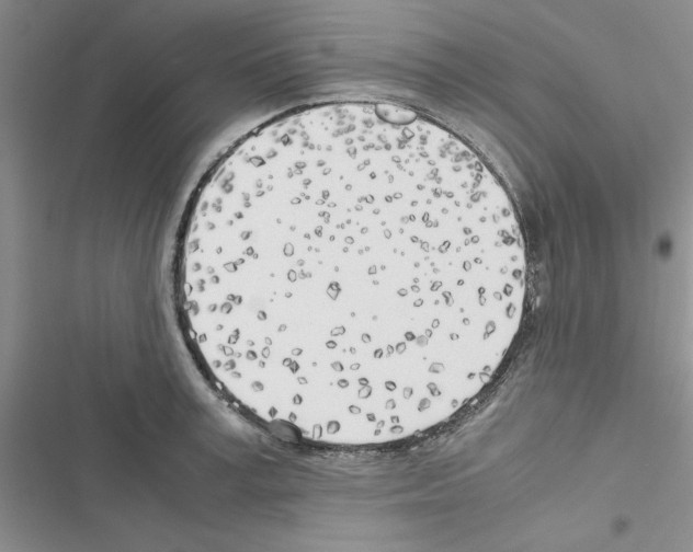 X0000116620995201001221336