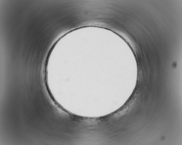 X0000116620999201001221336