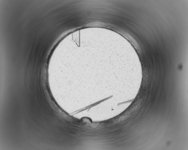 X0000116621000201001221336
