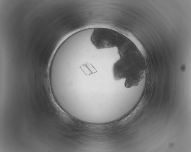 X0000116621004201001221336
