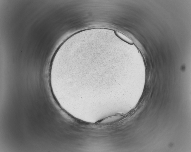 X0000116621005201001221336