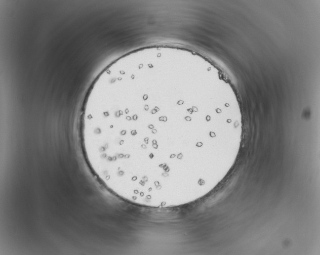 X0000116621007201001221336