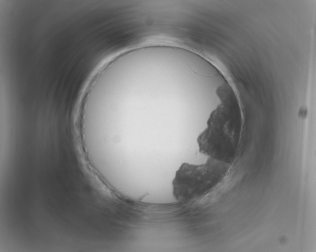 X0000116621008201001221336