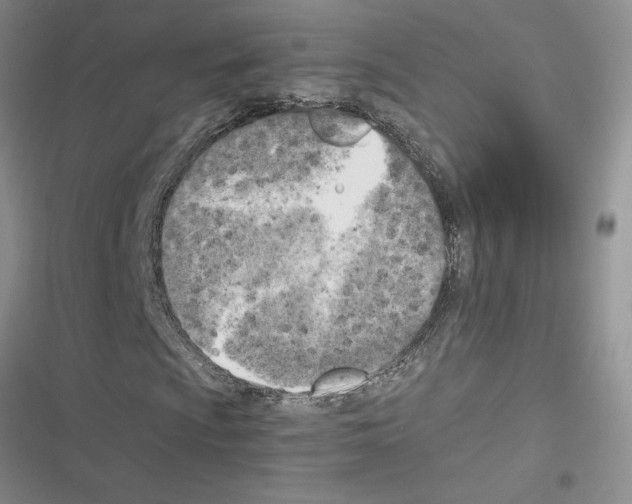 X0000116621009201001221335