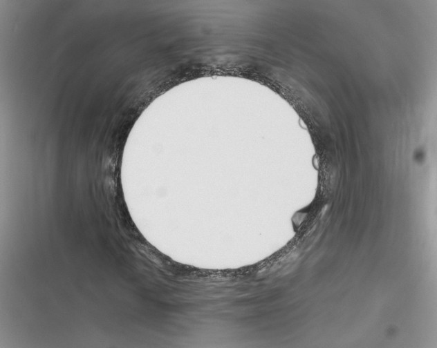 X0000116621010201001221335