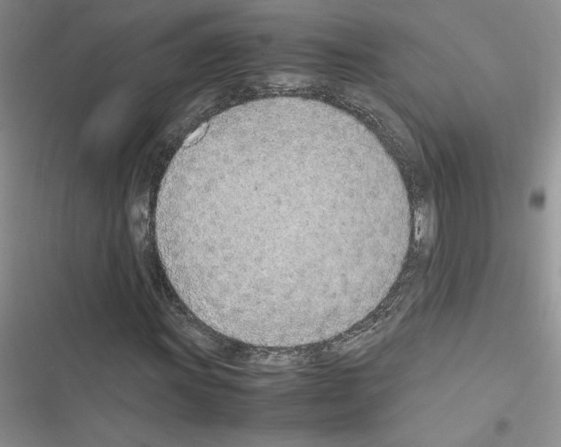 X0000116621011201001221335