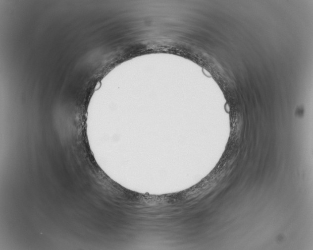 X0000116621012201001221335