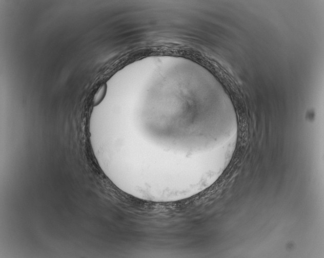 X0000116621013201001221335