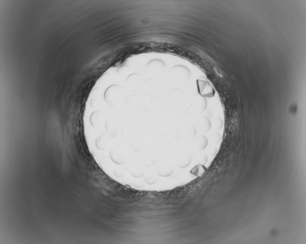 X0000116621014201001221335