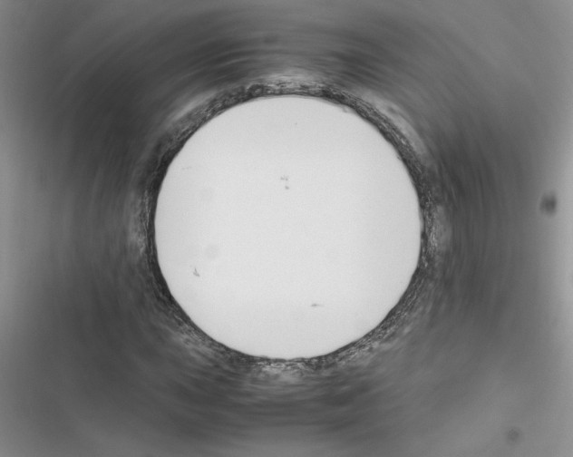 X0000116621015201001221335