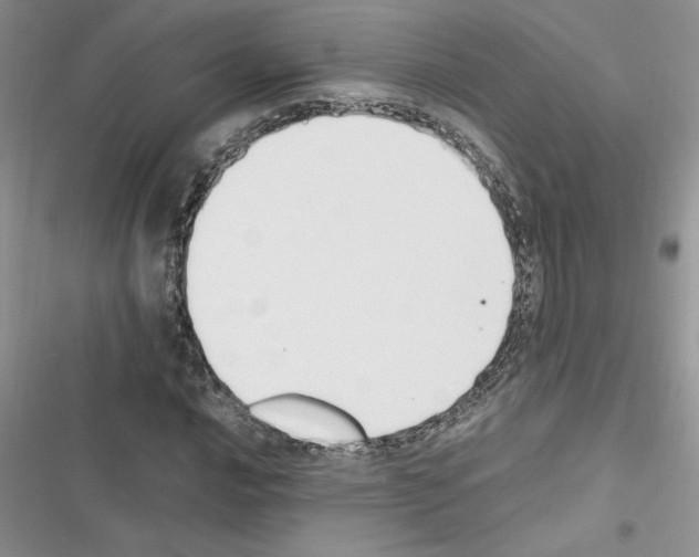 X0000116621016201001221335