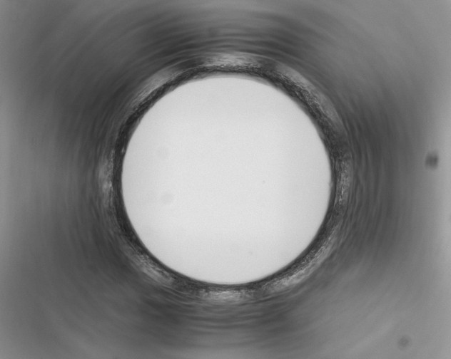 X0000116621017201001221335
