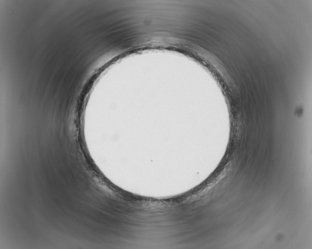 X0000116621018201001221335
