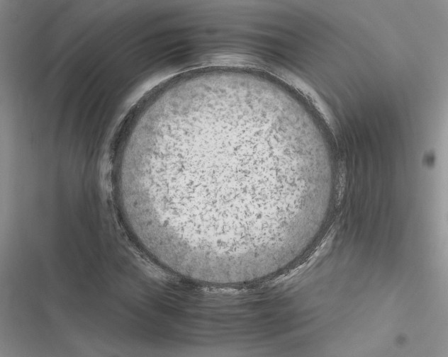 X0000116621019201001221335