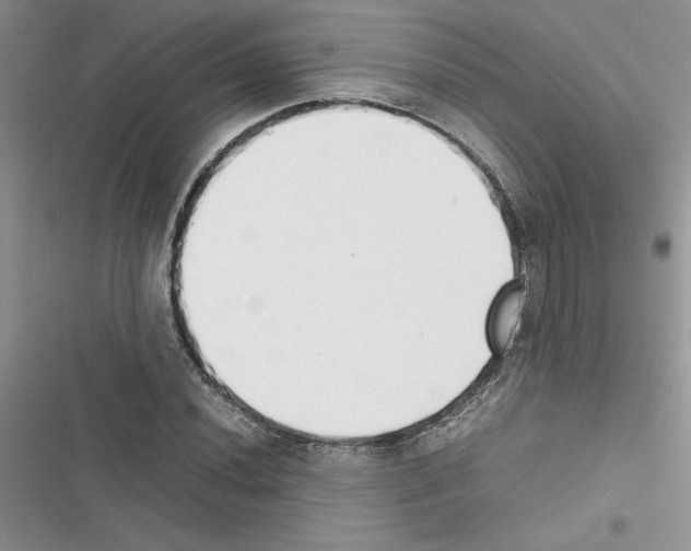 X0000116621020201001221335