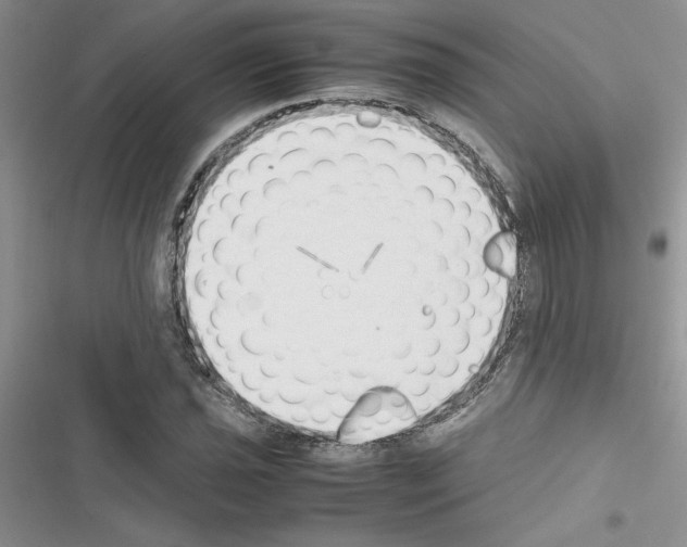 X0000116621021201001221335