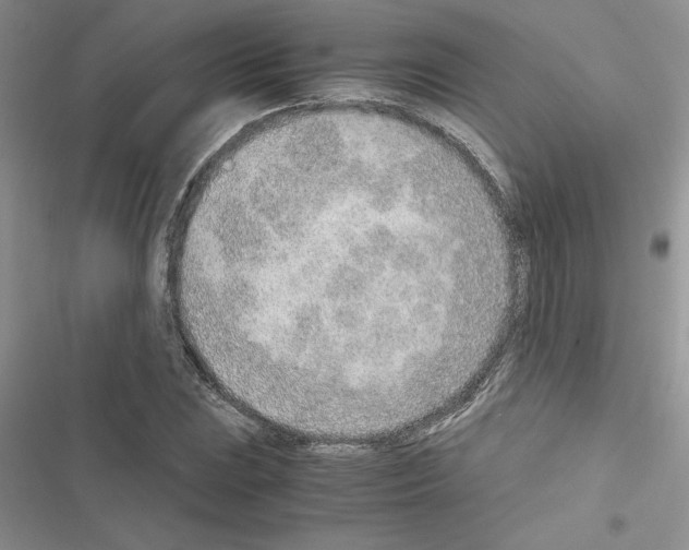 X0000116621023201001221335