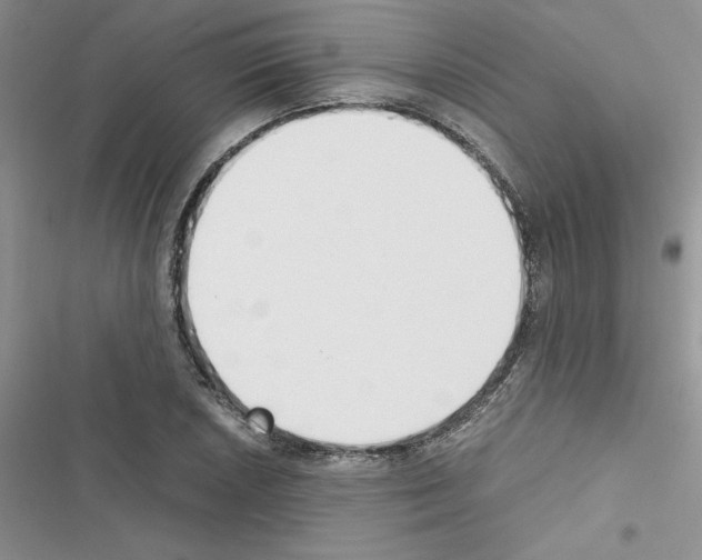 X0000116621026201001221335