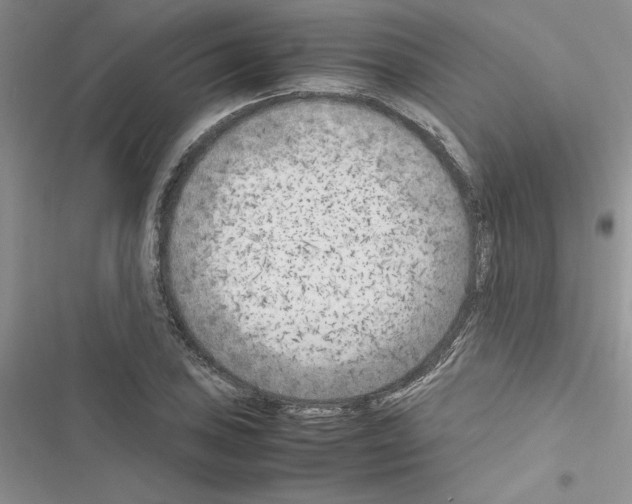 X0000116621027201001221335