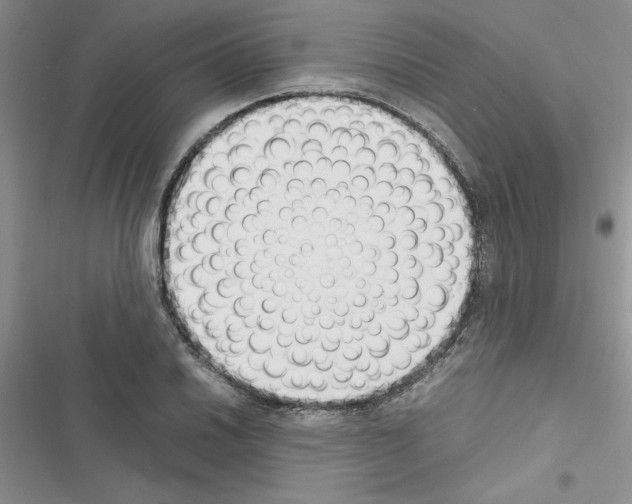 X0000116621030201001221335