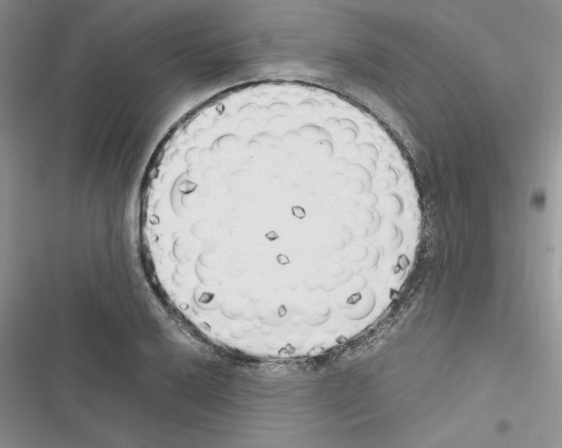 X0000116621032201001221335