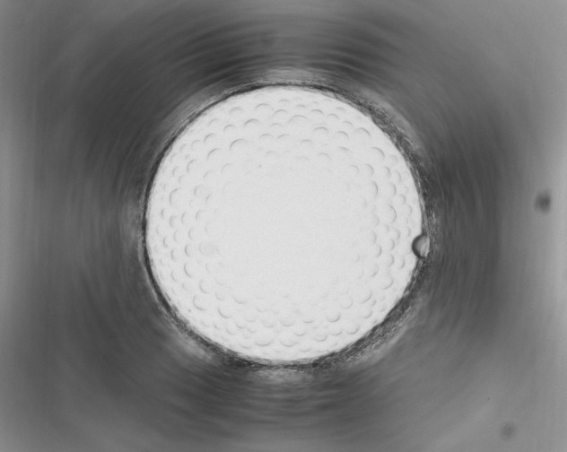 X0000116621033201001221335