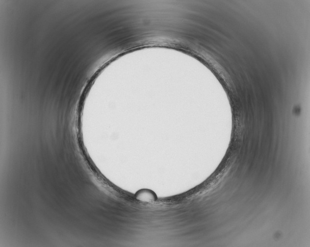 X0000116621034201001221335