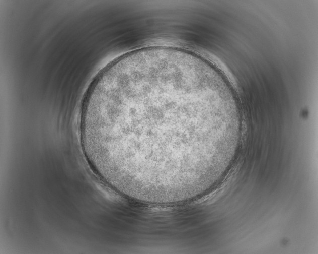 X0000116621035201001221335