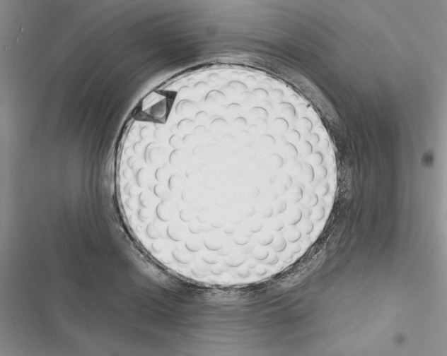 X0000116621036201001221335