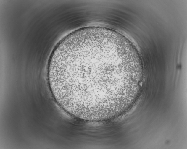 X0000116621037201001221335