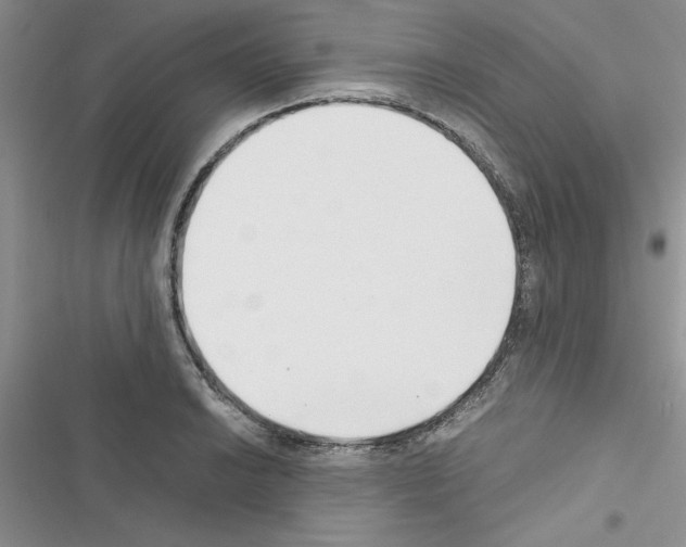 X0000116621038201001221335