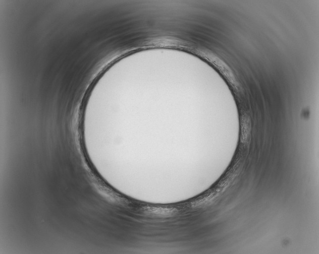X0000116621039201001221335