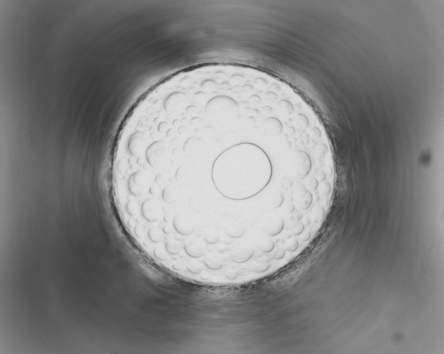 X0000116621040201001221335