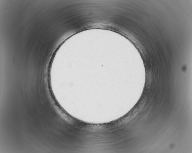 X0000116621042201001221335