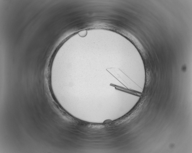 X0000116621043201001221335