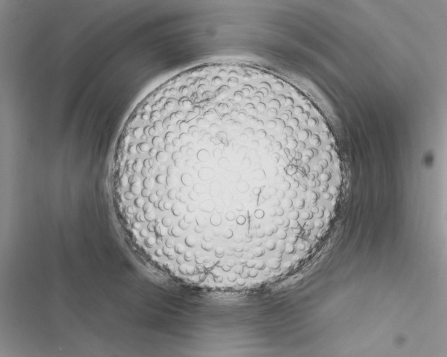 X0000116621044201001221335