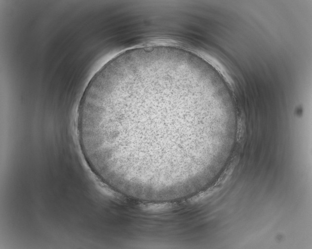 X0000116621047201001221336