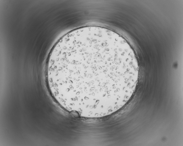 X0000116621048201001221336