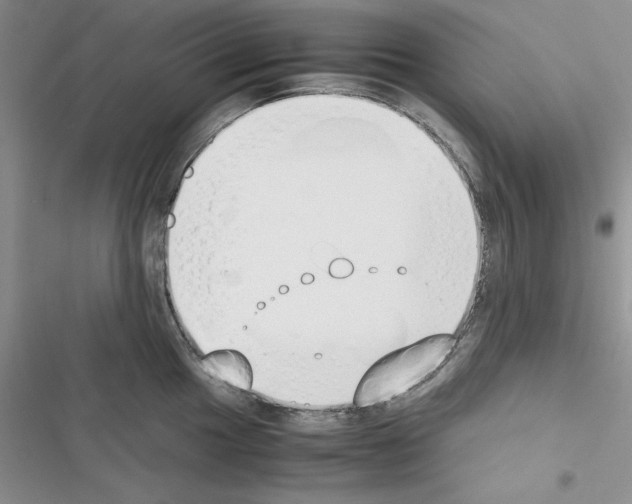X0000116621049201001221336