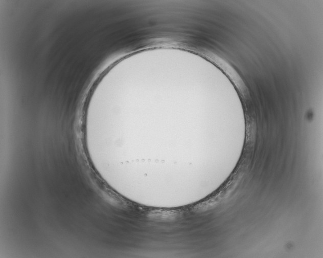 X0000116621051201001221336
