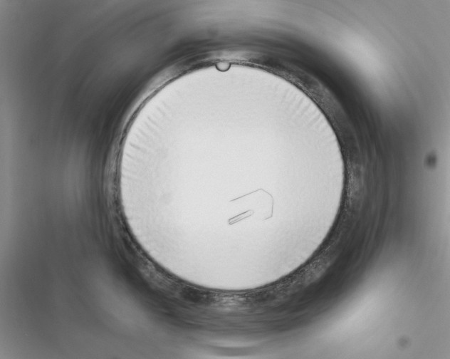 X0000116621052201001221336